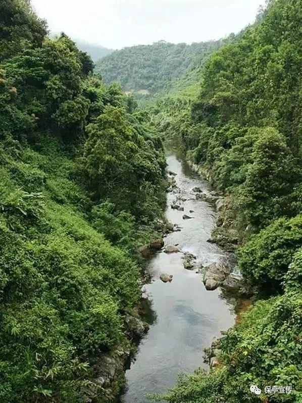 龙腾纸上 百花齐放--鲁网东营小记者团联合雅菲口才校区开展非遗主题研学游活动